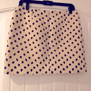 Jcrew skirt